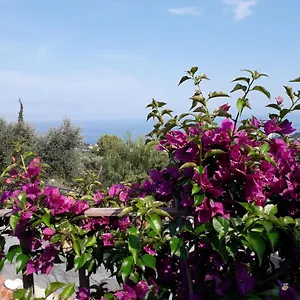 Bed & Breakfast Il Porto Di Benny, Alassio