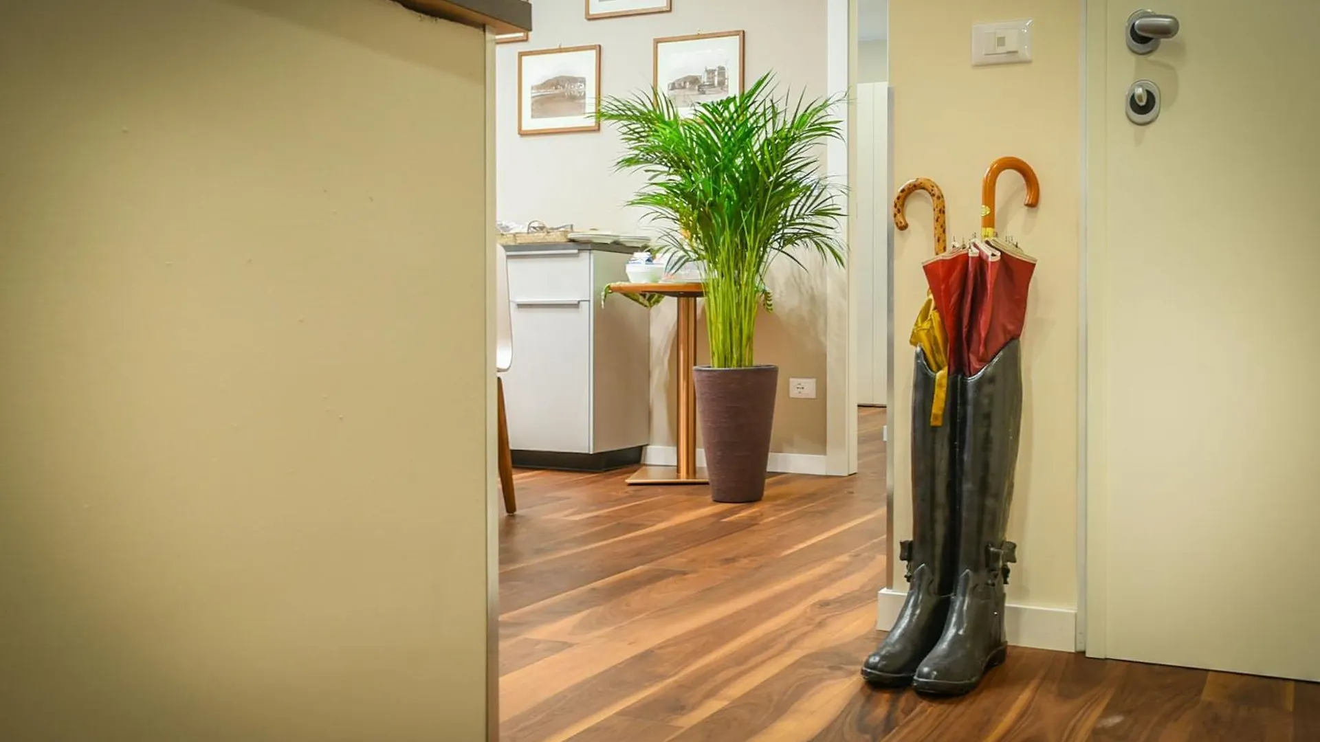 Bed & Breakfast B&B H68 Alassio